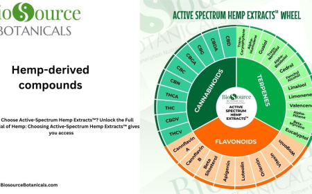 The Power of Hemp-Derived Compounds with Active Spectrum