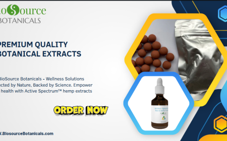 Experience the Power of Premium Quality Botanical Extracts: Sustainable Wellness from Nature