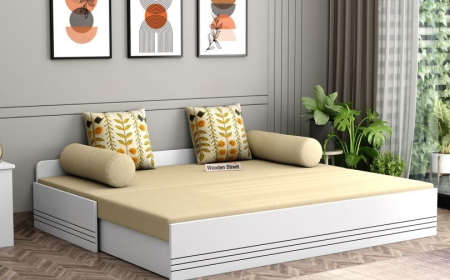 How to Style Your Living Room with a Sofa Cum Bed