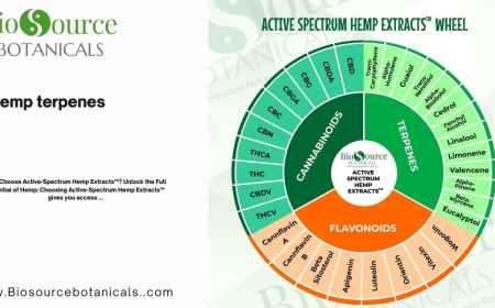 The Power of Hemp Terpenes: A Guide to Active Spectrum Wellness Products