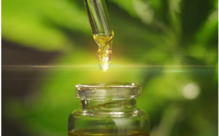 CBD Water Market Regulatory Landscape and Legal Considerations 2022–2030