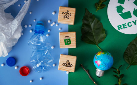 The Future of Sustainability: Inside the Booming Plastic Recycling Market