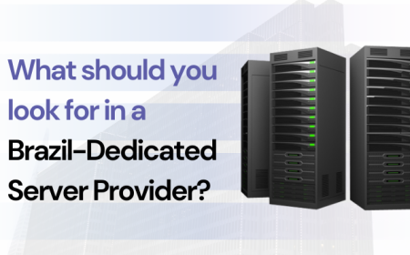 What Should you Look for in a Brazilian-Dedicated Server Provider?