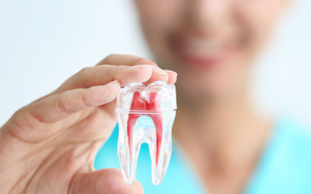 Pain-Free Dentistry in North Melbourne: What to Expect
