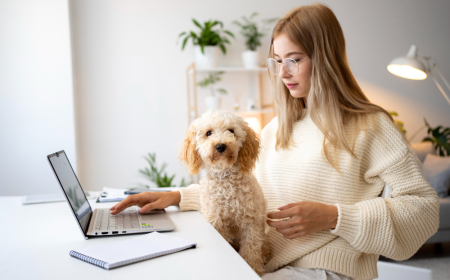Exploring the Global Pet Insurance Market: Opportunities and Challenges