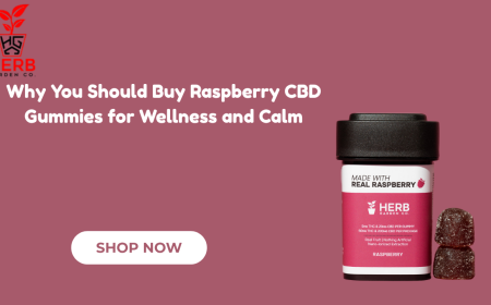 Why You Should Buy Raspberry CBD Gummies for Wellness and Calm