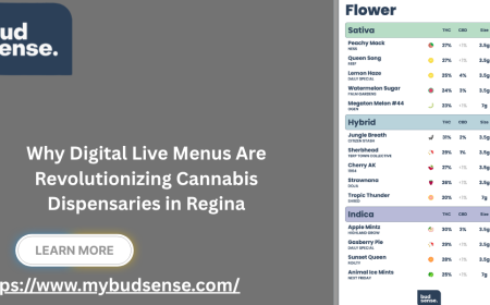 Why Digital Live Menus Are Revolutionizing Cannabis Dispensaries in Regina