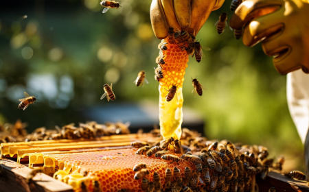 Smart Beekeeping with IoT: Methods, Location Strategies & Safety Tips for Beehive Monitoring Systems