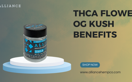 THCA Flower OG Kush: Nature’s Answer to Stress & Relaxation