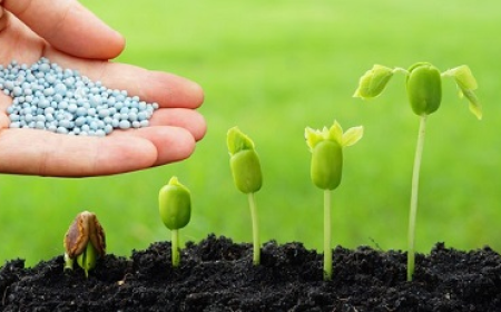 Biocides Market worth USD 12.76 Billion Globally by 2033 with  3.7% CAGR | Exclusive Report by We Market Research