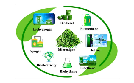 Algae Biofuel Market Size Expansion to Drive Significant Revenues in the Future