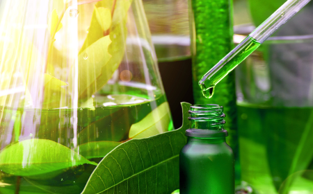 The Green Revolution: Innovations in Plant Extracts Market