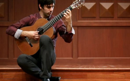 Best Materials for Classical Guitar Beads: Bone, Wood, or Plastic?