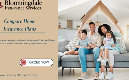 Compare Home Insurance Plans with Bloomingdale Insurance Services