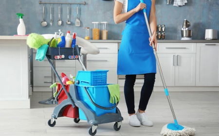 Rules & Legal Guide for Hiring a Maid in Dubai