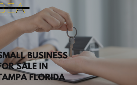 How to Find the Right Small Business for Sale in Tampa, Florida