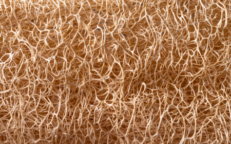 Hemp Fiber Market Trends 2025: Growth Opportunities and Key Players