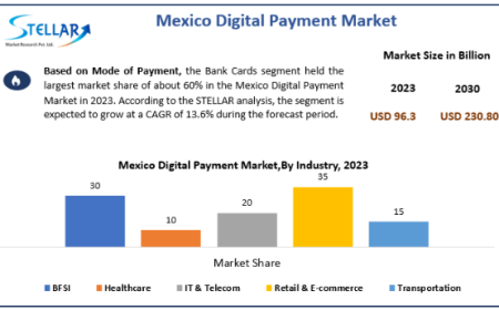 Mexico Digital Payment Market Size, Share, Price, Trends, Report, Forecast 2024-2030