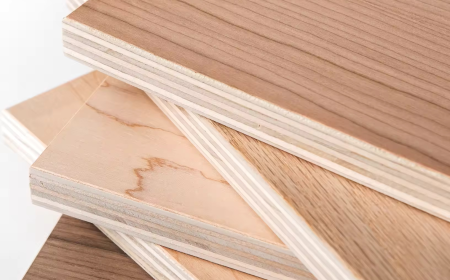 How the Plywood Market Is Shaping Global Design