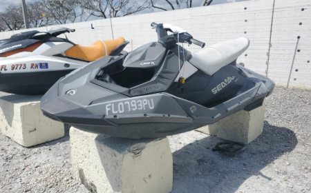 Jet Ski Auctions 101: How to Get a Budget- Conscious Personal Watercraft