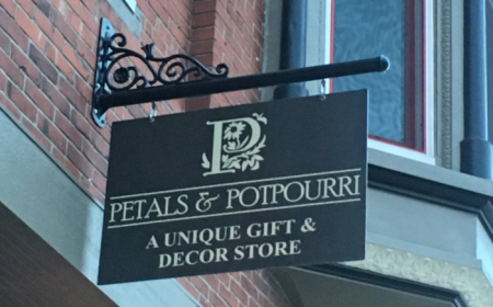 Custom Vinyl Lettering in San Jose: Transform Your Brand with Personalized Vinyl Graphics