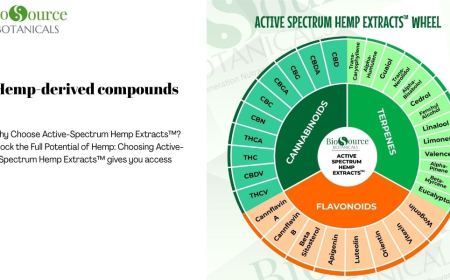Hemp-Derived Compounds: The Active Spectrum™ Advantage