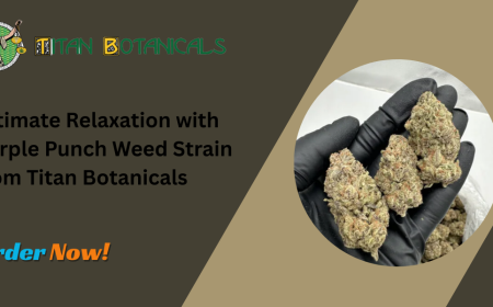 Ultimate Relaxation with Purple Punch Weed Strain from Titan Botanicals