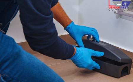 Professional Termite Control Services and Rodent Pest Control