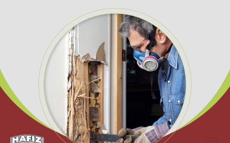 Termite Treatment and Professional Termite Control Services