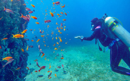 Top 10 Adventure Activities in Jordan