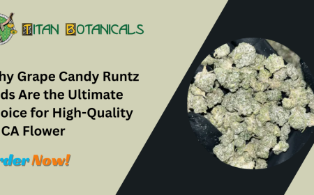 Why Grape Candy Runtz Buds Are the Ultimate Choice for High-Quality THCA Flower
