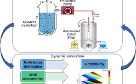 Pharmaceutical Filtration Market Segmentation by Product Type and Filter Media