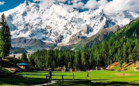Unlocking the Hidden Treasures of Northern Pakistan