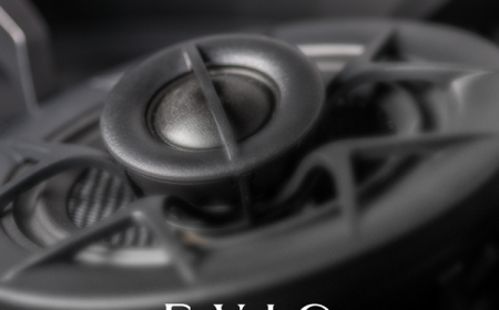 Sp5der Hoodie - Spider Hoodie Website || Sale Up To 40% Off