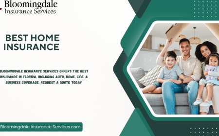 Best Home Insurance Solutions in Valrico, FL – Bloomingdale Insurance Services