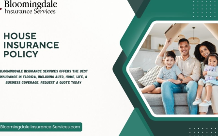 Protect What Matters: House Insurance Policy Guide by Bloomingdale Insurance Services