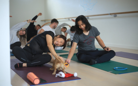 Why Puppy Yoga Classes Are the Perfect Private Event for Pet Lovers