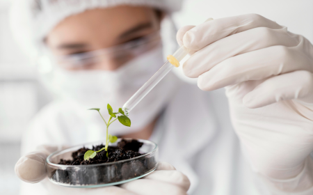 Biomaterials Market Analysis: Key Players, Trends, and Opportunities