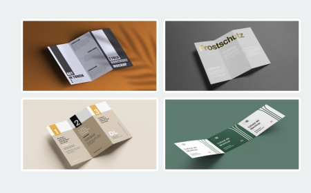 Avoid Mistake in catalogue creation in 2025