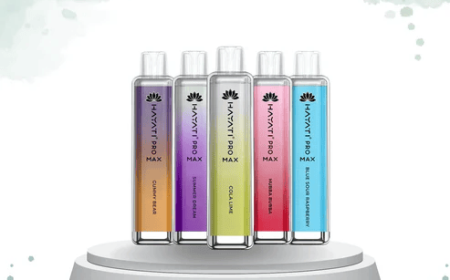 Hayati Pro Max 4000 Puffs Disposable Vape – Box of 10 | Long-Lasting, Smooth Flavors, Ready to Use