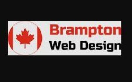 Choosing the Right Web Design Company in Brampton: What to Look For