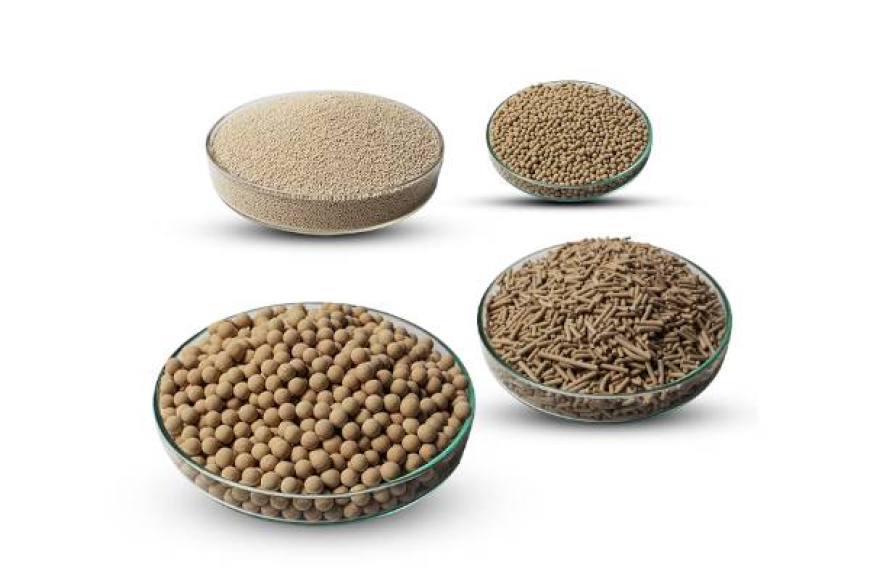 How to Select the Best Molecular Sieves Suppliers in 2025