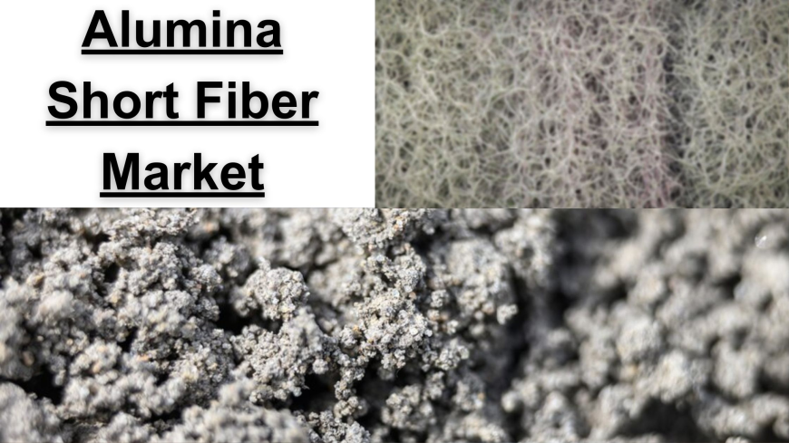 Alumina Short Fiber Market Analysis by Region, Size, and Growth 2032