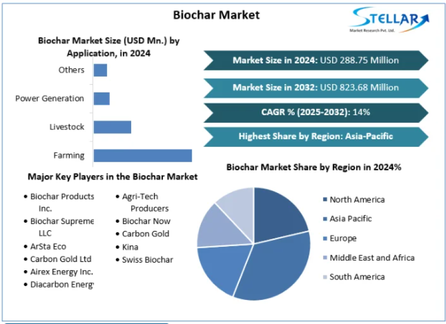 Biochar Market Report Provide Recent Trends, Opportunity, Forecast 2025-2032