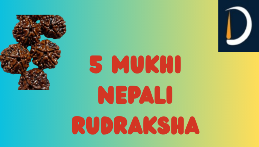 Unlocking the Power of the 5 Mukhi Nepali Rudraksha – Nature’s Spiritual and Healing Gem