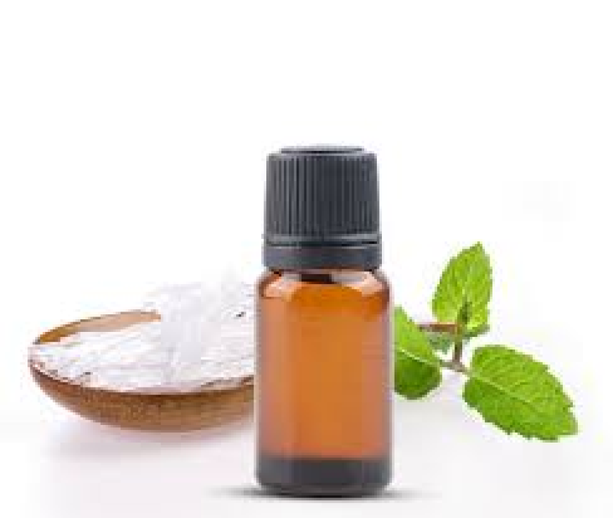 Top Mint Oil Suppliers in India for Bulk & Wholesale Orders