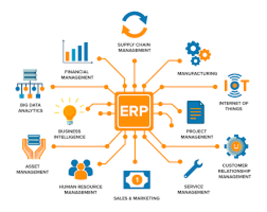 ERP Software Solutions for Businesses in Carbondale, Illinois