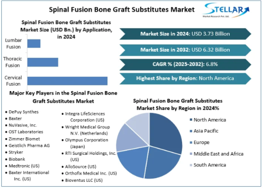 Spinal Fusion Bone Graft Substitutes Market Dynamics, Competitive Landscape, Outlook 2025-2032