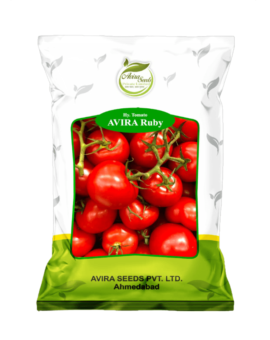 Top 10 Best Tomato Seeds in India for High Yield and Quality