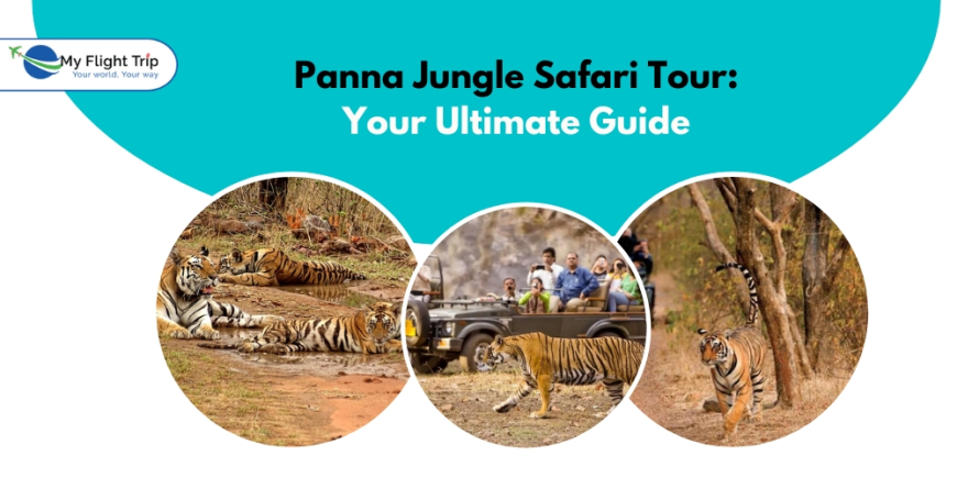 Panna Jungle Safari Tour: Your Ultimate Guide